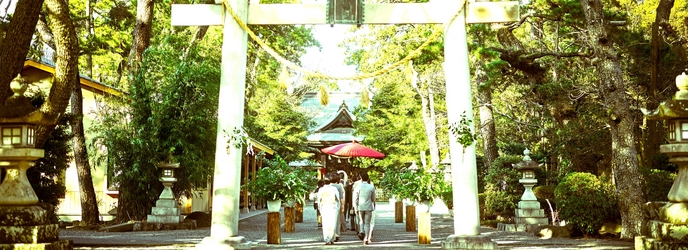 浜松八幡宮 楠倶楽部 神社(浜松八幡宮)画像 2-1
