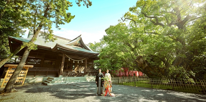 浜松八幡宮 楠倶楽部 神社(浜松八幡宮)画像 1