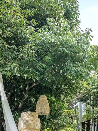 THE GARDEN PLACE SOSHUEN(蘇州園) 付帯設備1画像 1-2