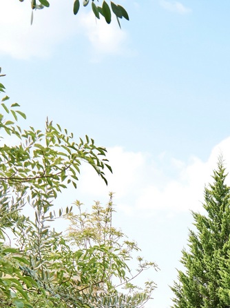 Rouge Blanc(ルージュ:ブラン) 庭園1画像 1-1