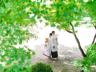 播磨国総社(清交倶楽部総社店) 撮影スポット画像 1-2