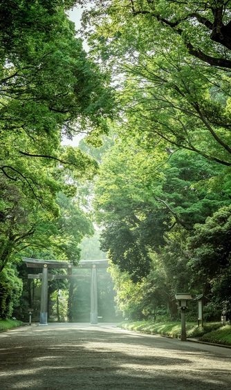 明治神宮・明治記念館 神社(明治神宮)画像 2-1