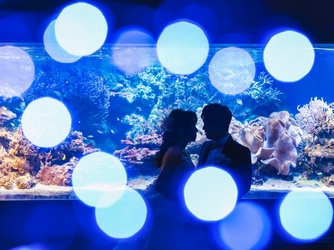 鳥羽国際ホテル セレモニースペース(【水族館で挙式が叶う】人前式)画像 2-2