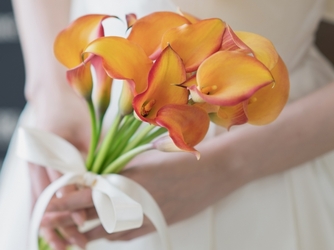 鳥羽国際ホテル ロケーション3画像 2-3