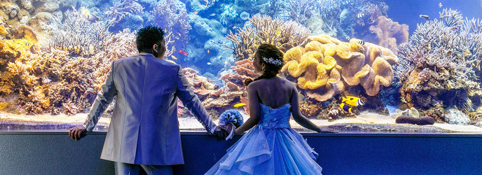 鳥羽国際ホテル セレモニースペース(【水族館で挙式が叶う】人前式)画像 2-1