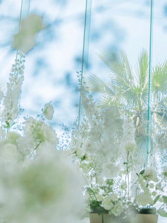 マウロ・アネーラ 特典2画像 2-1