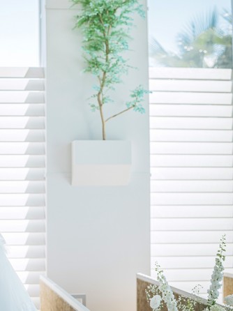 マウロ・アネーラ 特典2画像 1-2