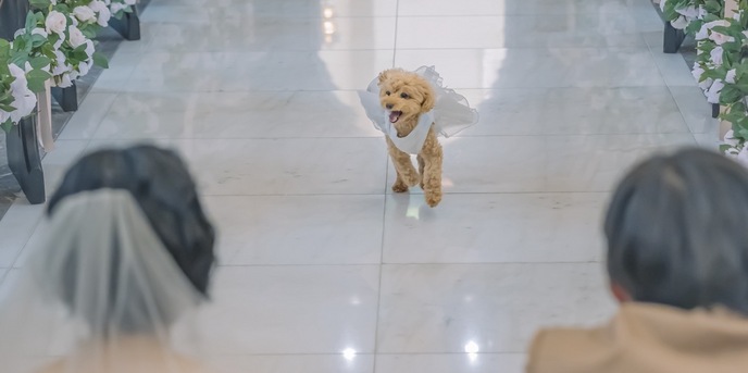 ロイヤルチェスター長崎 ホテル&リトリート チャペル(セントロイヤルチャーチ)画像 2