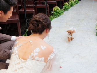 パークベルズ大村 チャペル(セントカメリアチャーチ)画像 2-2