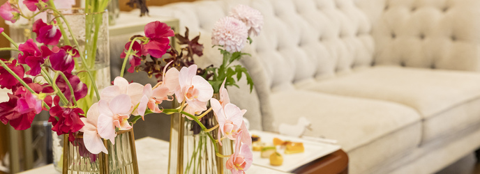 アイランドヒルズ迎賓館 アルカーサルデルセントロ画像 2-1