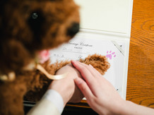 Socia21(ソシア21) ロケーション画像 2-5