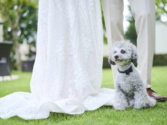 アーカンジェル代官山 演出1画像 2-2
