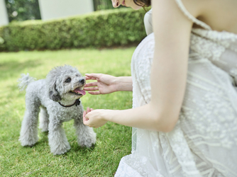 アーセンティア迎賓館 柏 チャペル(【柏で叶う森のリゾートウェディング】)画像 2-3