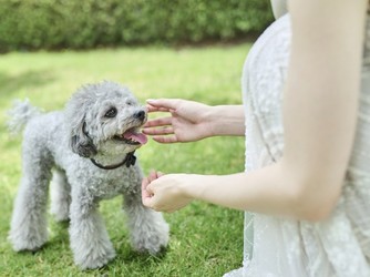 アーヴェリール迎賓館 姫路 【会場の魅力*2】ナチュラルコーデ画像 1-3