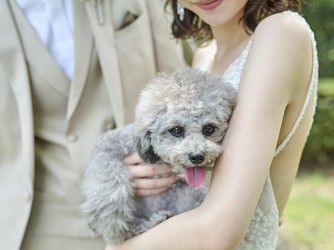 アーヴェリール迎賓館 姫路 【会場の魅力*2】ナチュラルコーデ画像 1-2