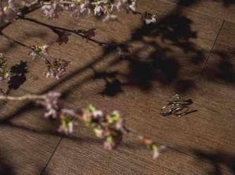 アルモニーアンブラッセ イットハウス その他3画像 2-2