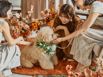 アルモニーアンブラッセ イットハウス その他2画像 2-2