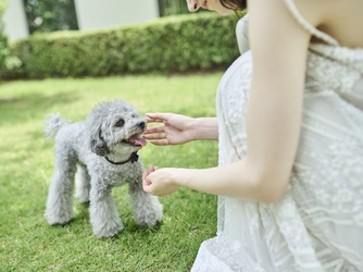 アーセンティア迎賓館 浜松 ガーデン&チャペル画像 2-3