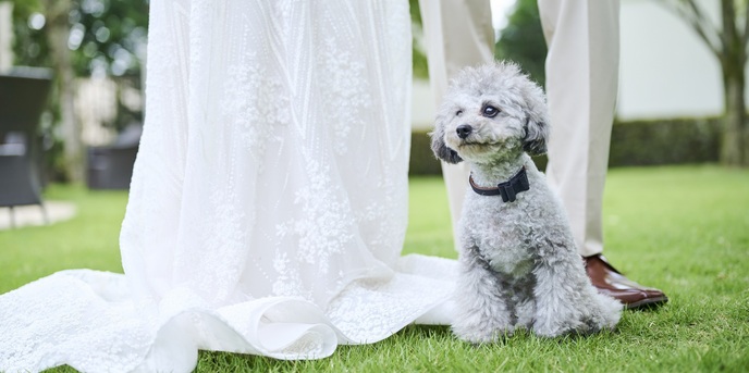 アーセンティア迎賓館 浜松 ガーデン&チャペル画像 1