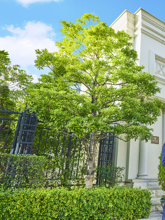 アーヴェリール迎賓館 高松 外観画像 1-1