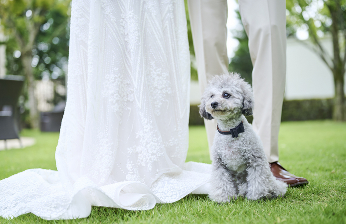 ベイサイドパーク迎賓館 千葉みなと 演出画像 1