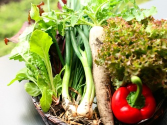 SETRE highland villa(セトレ ハイランドヴィラ) 料理・ケーキ1画像 2-1