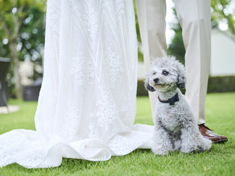 アクアガーデン迎賓館 沼津 演出画像 2-2
