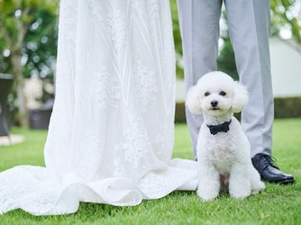 ニーズ静岡 by T&G WEDDING （旧 アーセンティア迎賓館 静岡） チャペル(ペットウェディング)画像 2-3