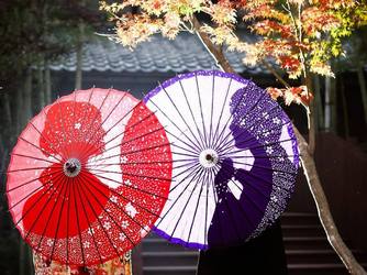 EXEX GARDEN 代官屋敷 since 1865 撮影スポット画像 2-2