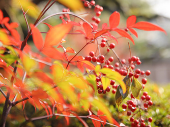 EXEX GARDEN 代官屋敷 since 1865 外観2画像 2-2