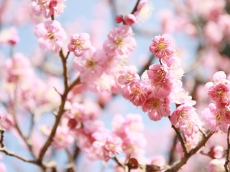 EXEX GARDEN 代官屋敷 since 1865 外観2画像 2-1