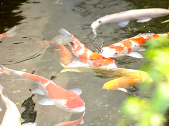 EXEX GARDEN 代官屋敷 since 1865 外観2画像 2-4