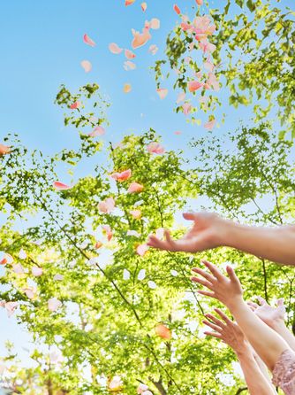 ザ フナツヤ セレモニースペース(ザ・ミュージックホール)画像 1-2