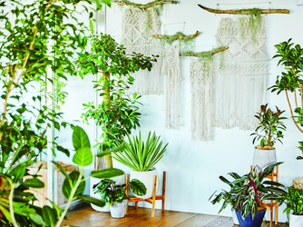 NIIGATA MONOLITH(新潟モノリス) コンセプトウエディング画像 1-2