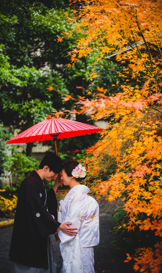 阿佐ヶ谷神明宮 ロケーション画像 2-1