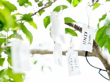 Felicia Court(フェリシアコート) フェリシアコート画像 2-3