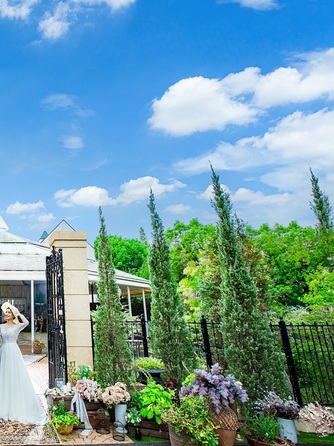 Felicia Court(フェリシアコート) ロケーション画像 1-2