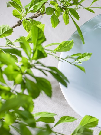 Felicia Court(フェリシアコート) 料理・ケーキ2画像 1-1