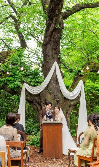 ラ・クラリエール セレモニースペース(樹齢100年以上の桜の樹/木の温もり)画像 2-1