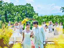 AMANDAN SKY(アマンダンスカイ) アマンダンスカイ コンセプト画像 2-3