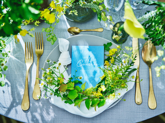 AMANDAN SKY(アマンダンスカイ) 【HAKU】画像 2-2