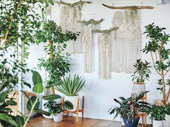 AMANDAN SKY(アマンダンスカイ) コンセプトウエディング画像 1-2