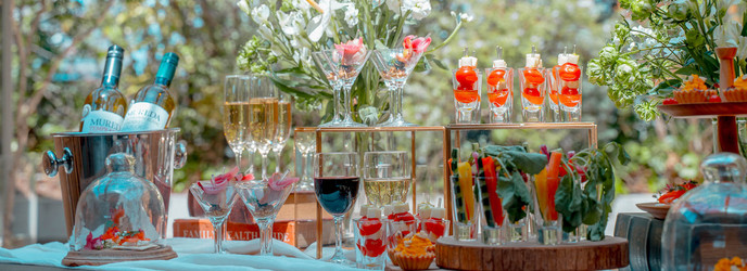 エレガンテヴィータ 演出画像 2-1