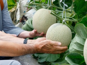 リストランテKubotsu 料理・ケーキ2画像 2-1