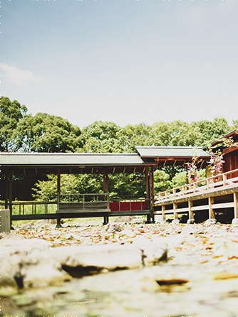 フォトギャラリー 白鳥庭園 ｔｈｅ ｓｈｕｇｅｎの画像 写真 フォト ゼクシィで理想の結婚式 結婚式場