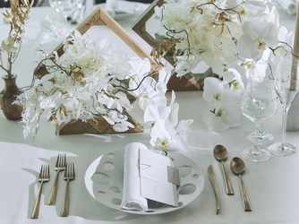 ラグナヴェール プレミア LAGUNAVEIL PREMIER 演出画像 1-2