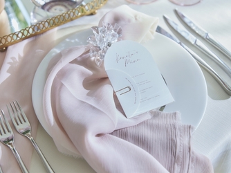 ラグナヴェール プレミア LAGUNAVEIL PREMIER 演出画像 2-3