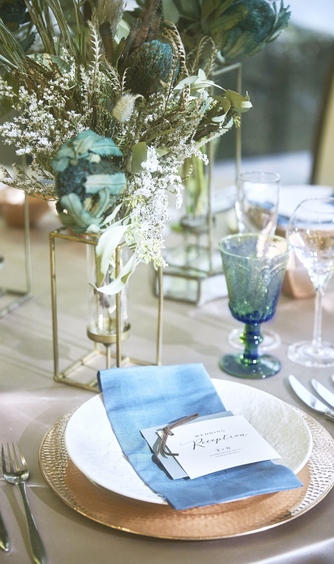 ラグナヴェール プレミア LAGUNAVEIL PREMIER 演出画像 1-1