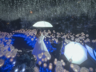 宮の森フランセス教会 撮影スポット1画像 2-3