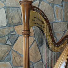 NIHO チャペル(Dhoni~ドーニー~)画像 2-2